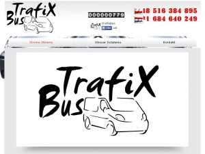 TrafixBus oferuje połączenia z kujawsko-pomorskiego do Holandii
